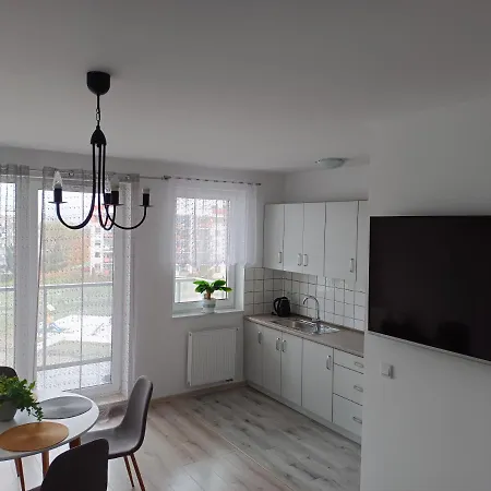 41 דירה רומיה