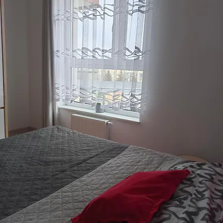 41 דירה רומיה